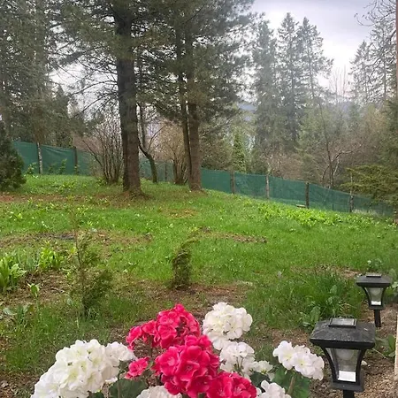 Tatra Wolf House * 코스실리스코