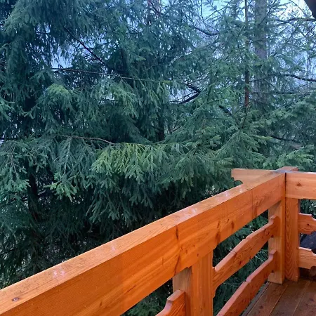 Tatra Wolf House 펜션 *