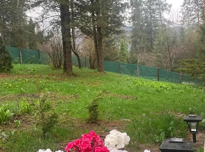 Tatra Wolf House * Kościelisko